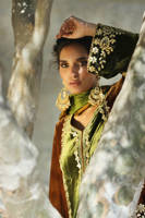 Picture of Gota Tribal