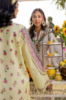 Picture of Olive Bloom