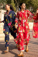 Picture of Wildflower Set