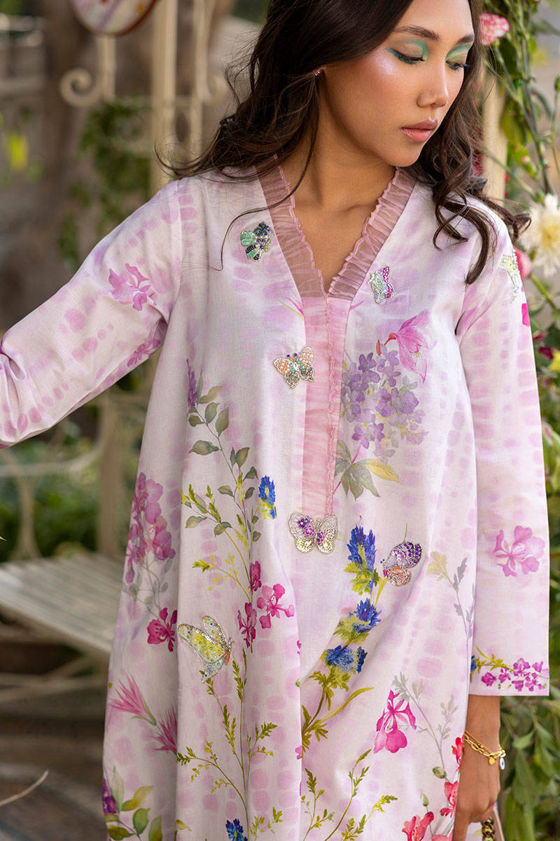 Picture of Butterfly Bloom