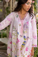 Picture of Butterfly Bloom