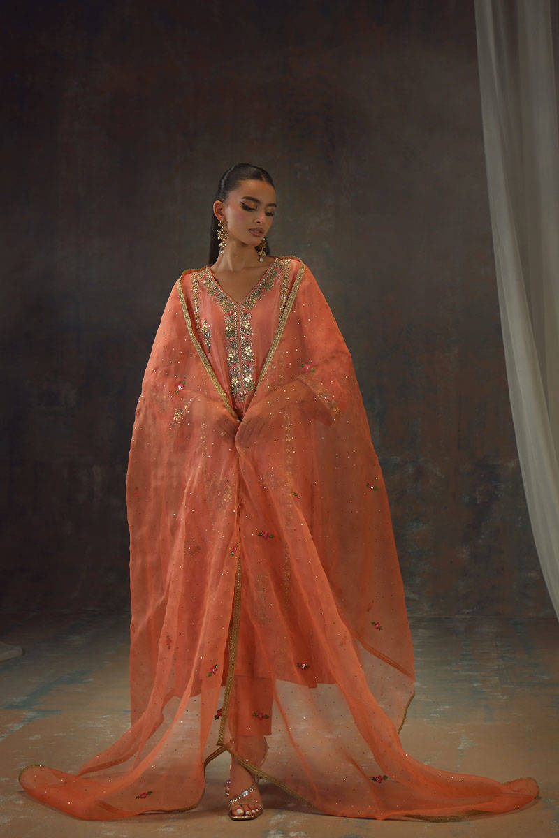 Picture of Peach Zari Long Full Set