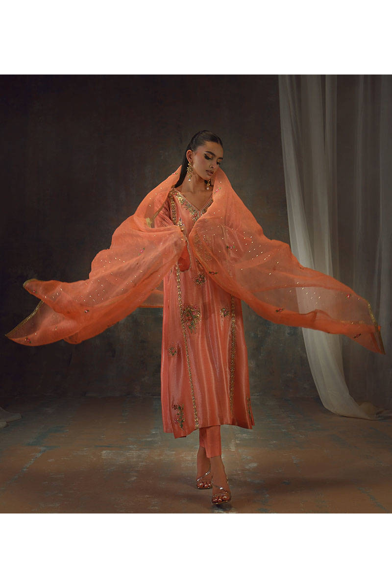Picture of Peach Zari Long Full Set