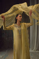 Picture of Gold Starburst