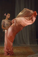 Picture of Setareh Saree