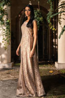 Picture of Crystal Lace Gown With Jumpsuit