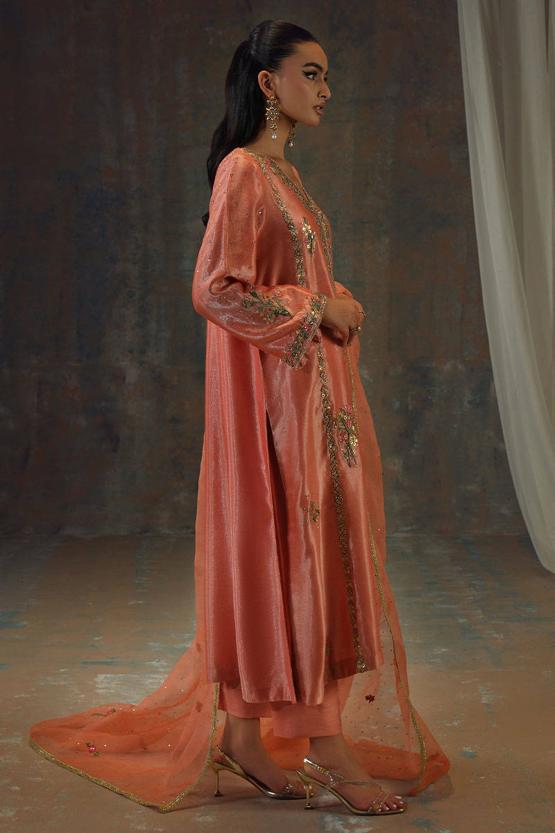 Picture of Peach Zari Long Full Set