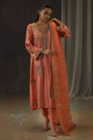 Picture of Peach Zari Long Full Set