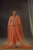Picture of Peach Zari Long Full Set