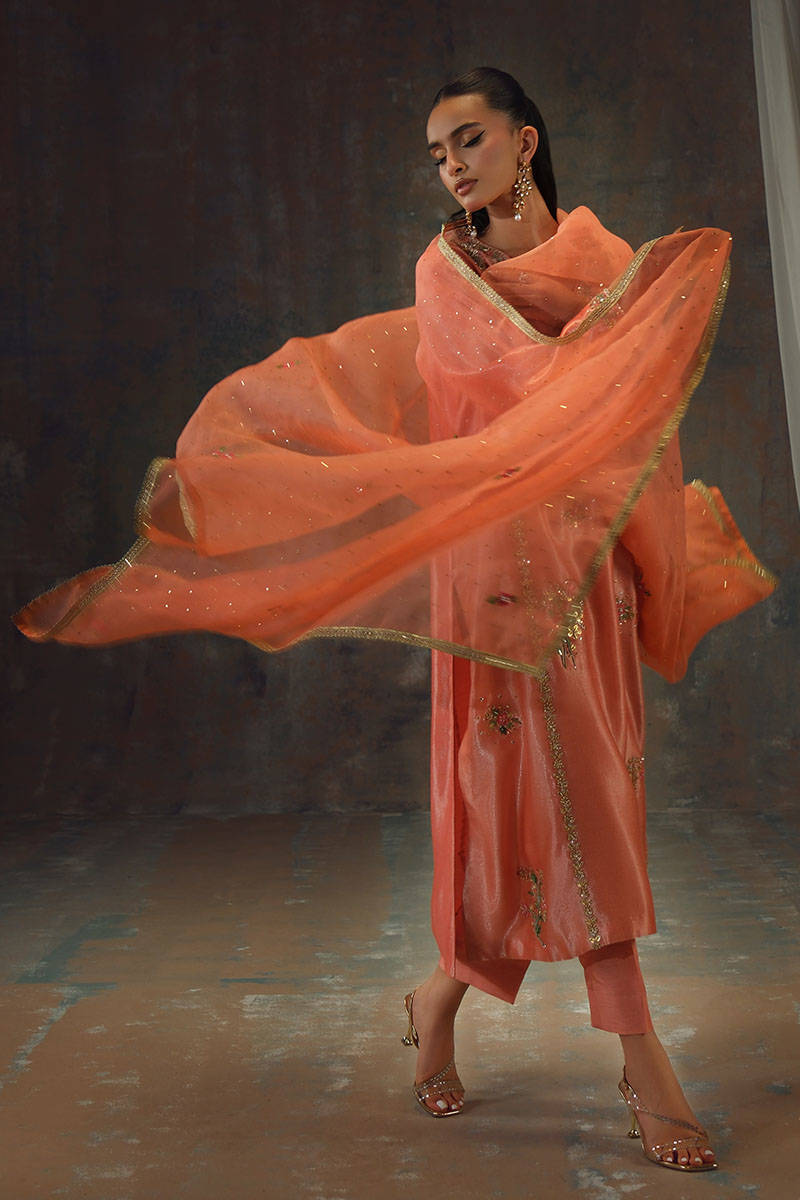 Picture of Peach Zari Long Full Set
