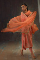 Picture of Peach Zari Long Full Set