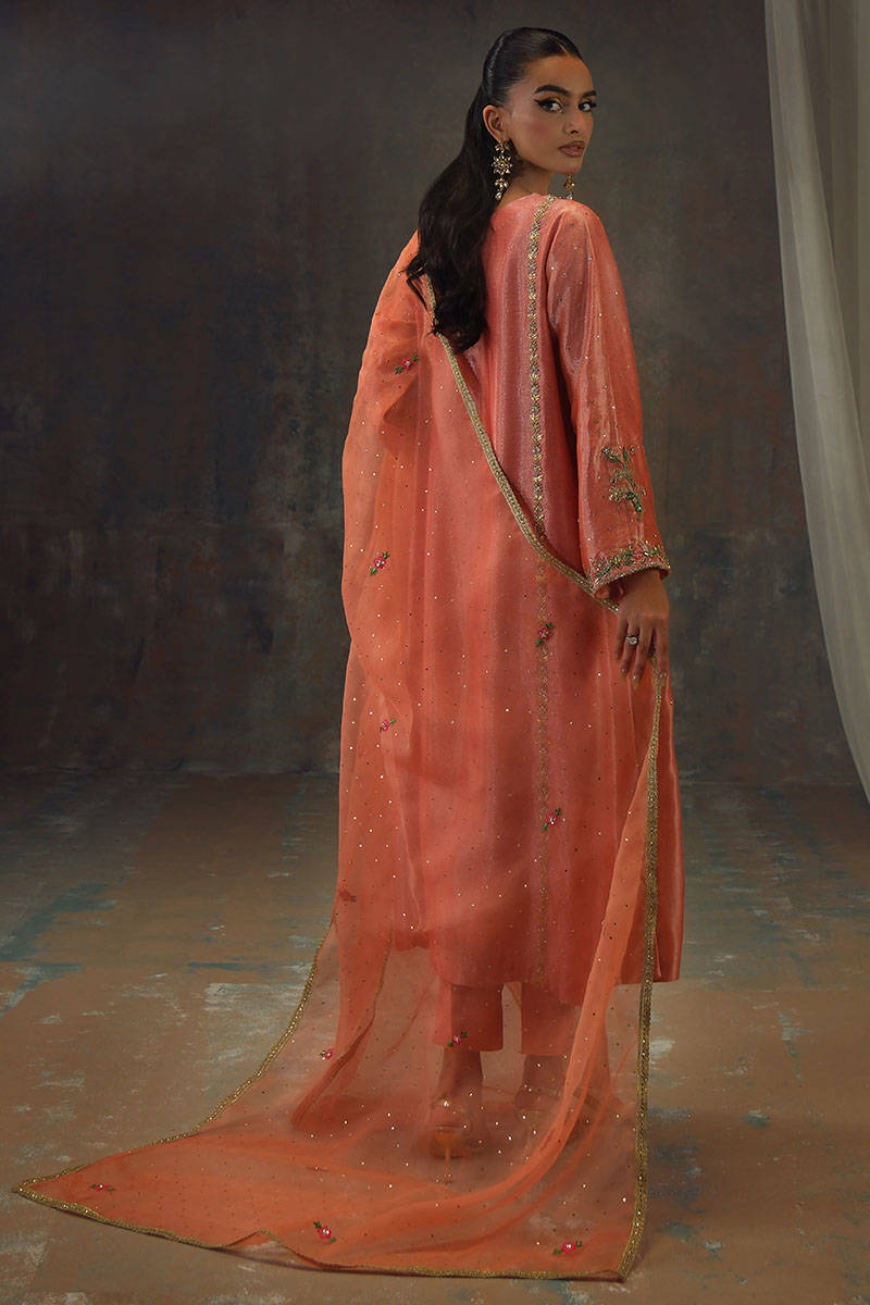 Picture of Peach Zari Long Full Set