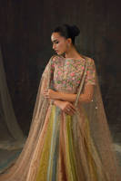 Picture of Setareh Lehnga