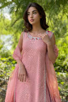 Picture of Pink Sparkle with Dupatta