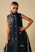 Picture of Stellaria